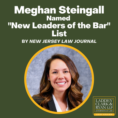 Meghan Steingall Named on the New Jersey Law Journal's "New Leaders of the Bar" List