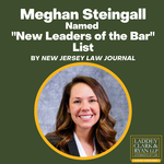 Meghan Steingall Named on the New Jersey Law Journal's "New Leaders of the Bar" List