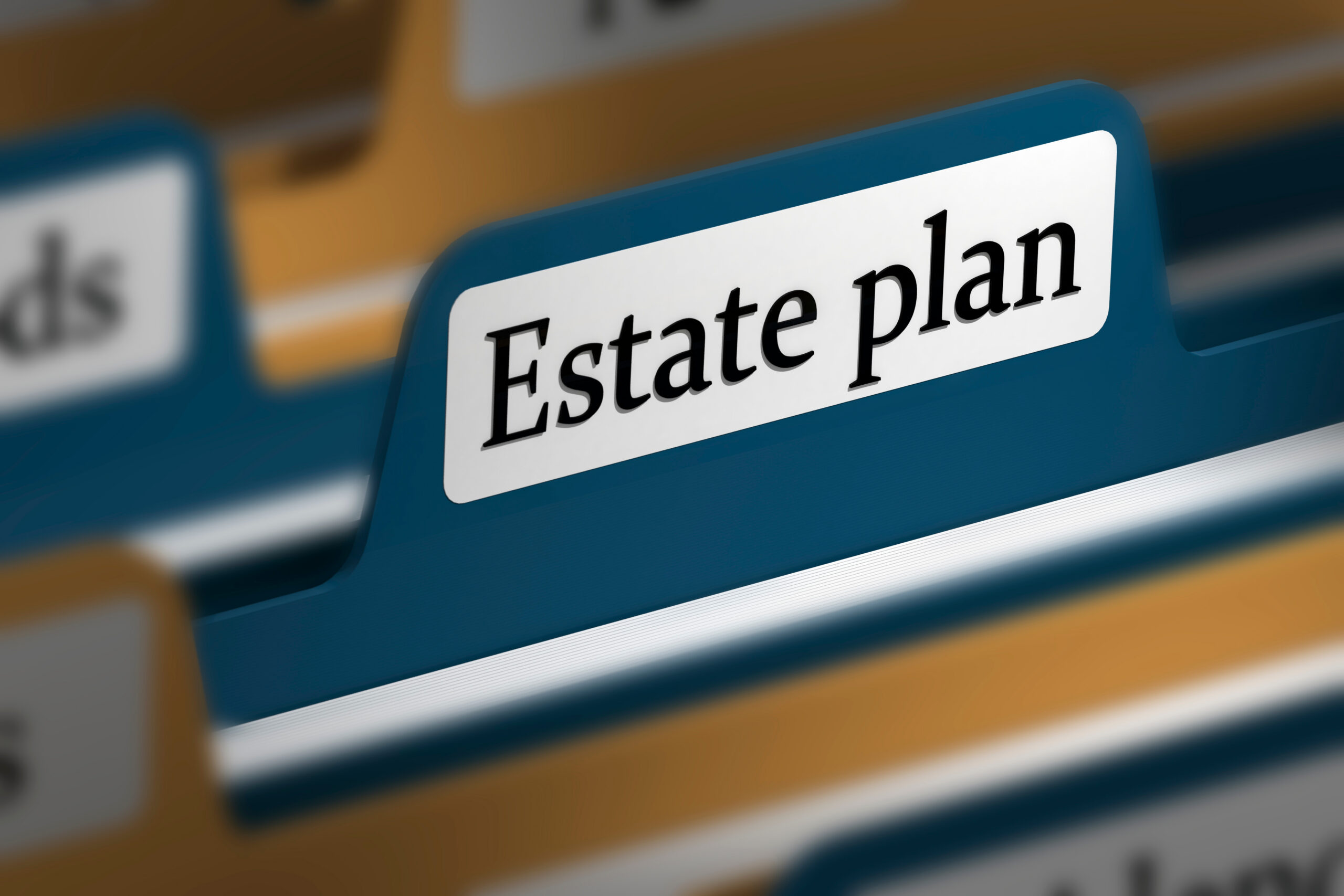 estate plan