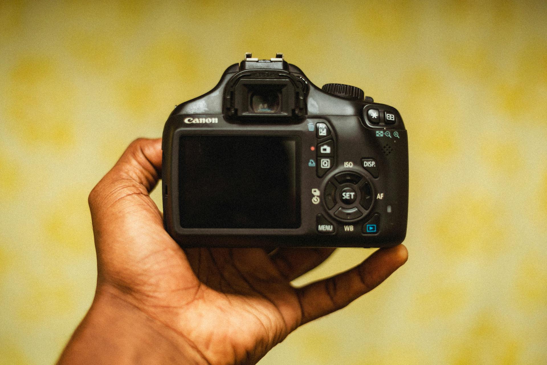 camera photographs